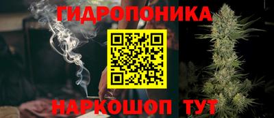 шишки Жуковский