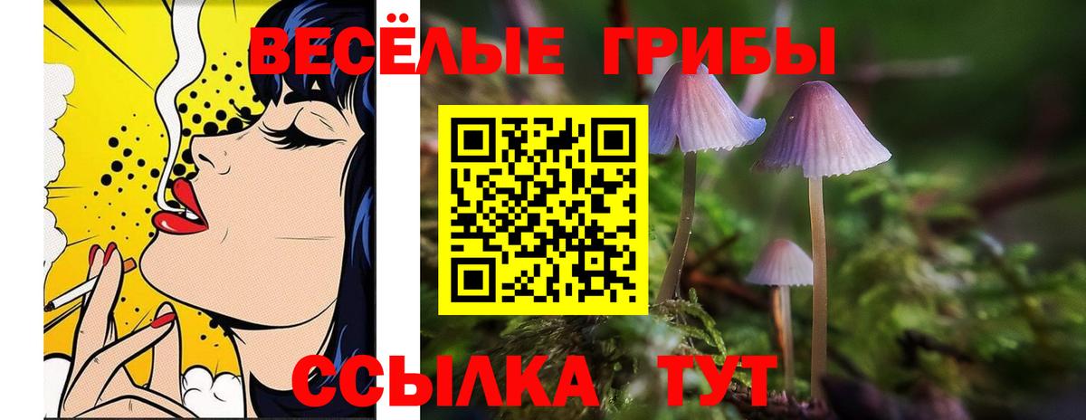 Барабинск  Галлюциногенные грибы Magic Shrooms  Вход с VPN 